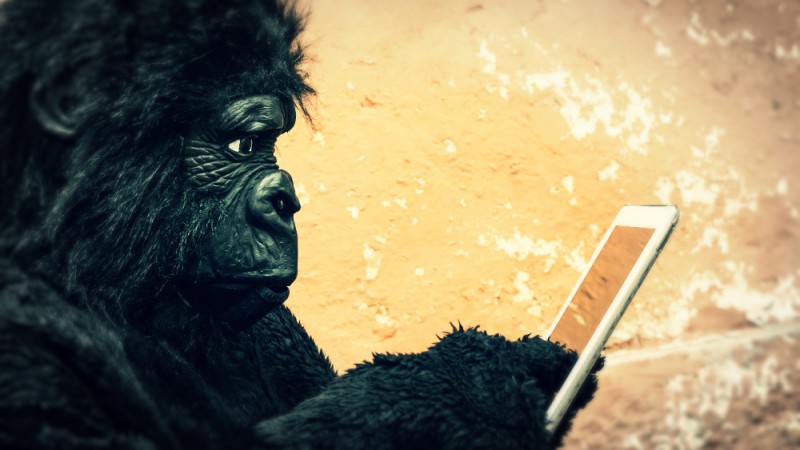 user experience engagement gorilla